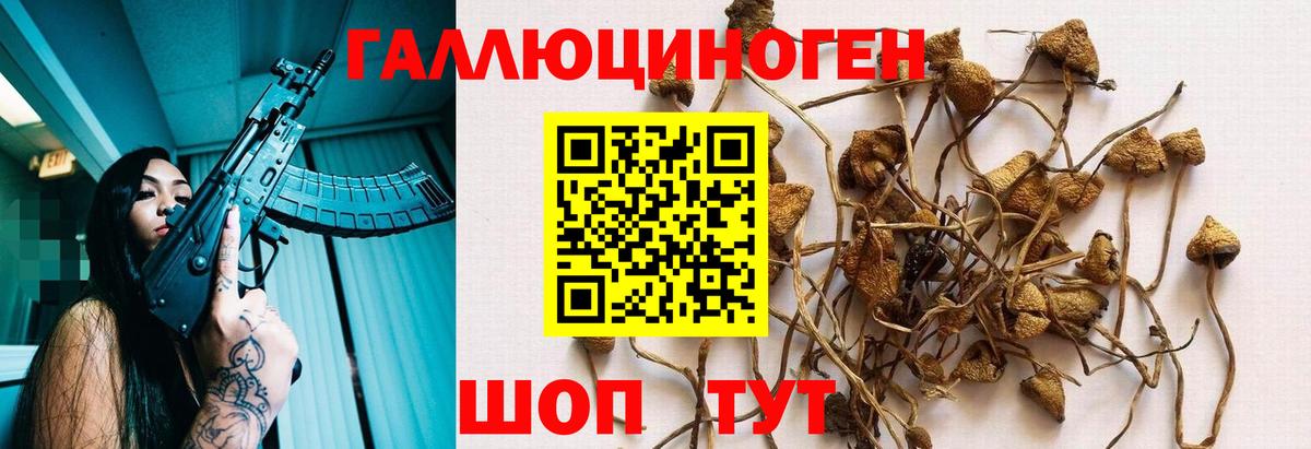 Псилоцибиновые грибы Psilocybine cubensis  Вход с VPN  Джанкой 